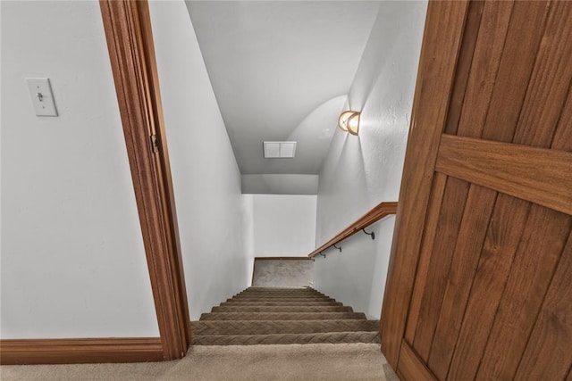 staircase with carpet flooring