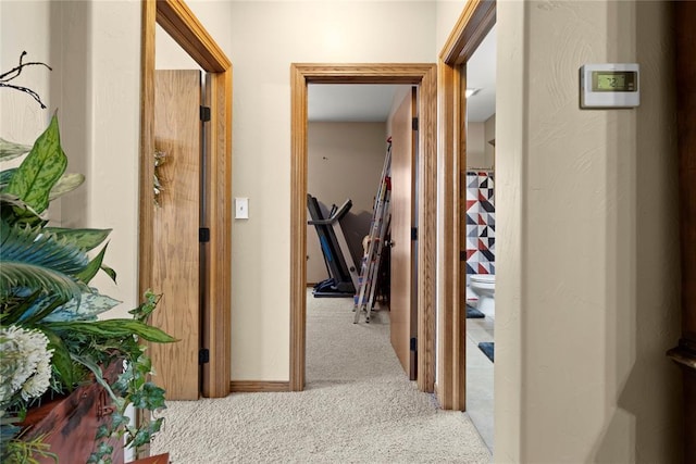 corridor featuring carpet flooring