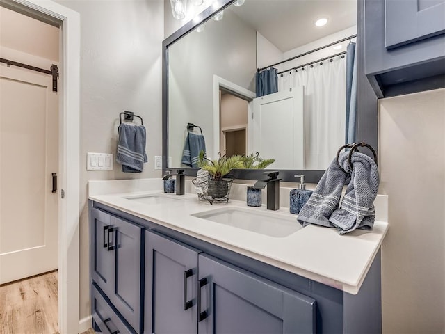 bathroom featuring vanity and wood-type flooring