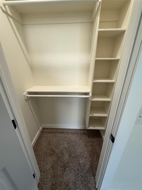 spacious closet with carpet floors