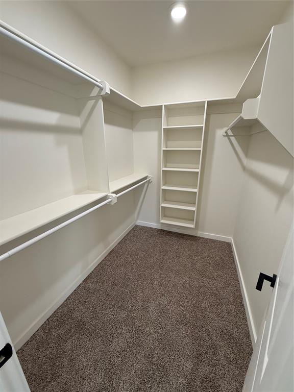 spacious closet with carpet