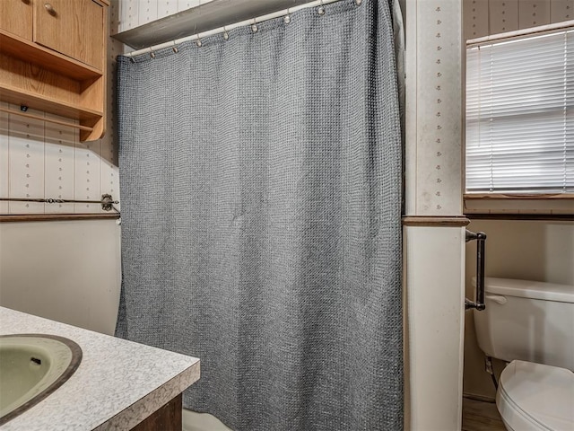 bathroom with vanity and toilet