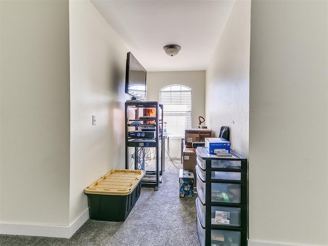 hallway featuring baseboards and carpet floors