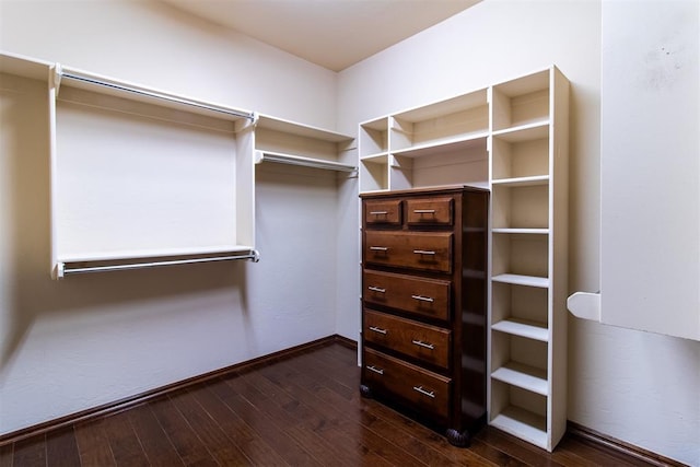 walk in closet featuring dark hardwood / wood-style floors