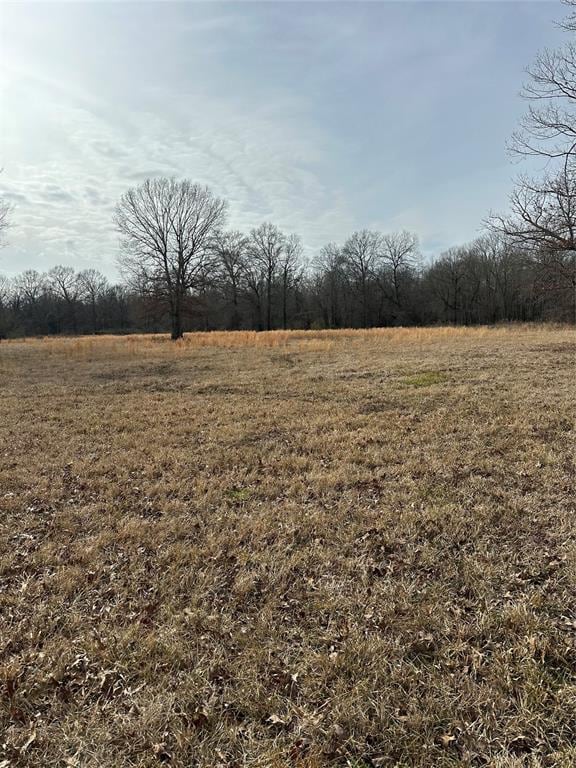 view of yard with a rural view