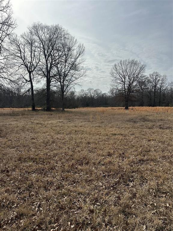 view of yard with a rural view