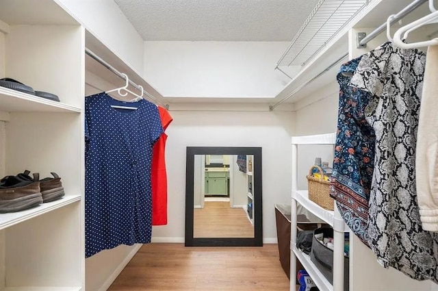 walk in closet featuring hardwood / wood-style floors