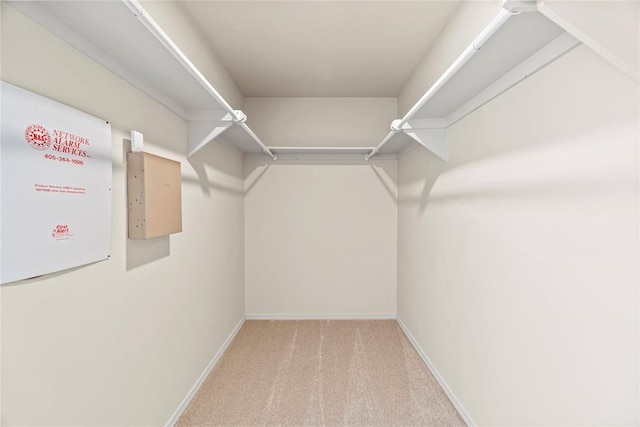 spacious closet featuring carpet flooring