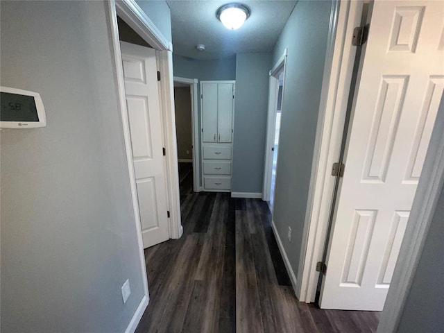 hallway featuring dark wood-type flooring