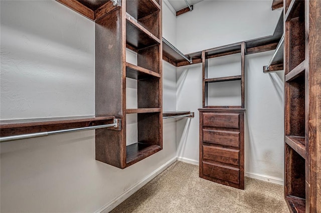 spacious closet with carpet