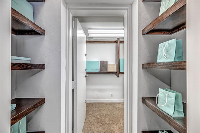 walk in closet featuring carpet flooring