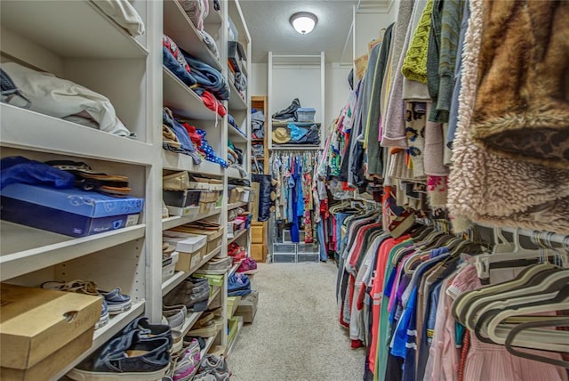 spacious closet with carpet floors