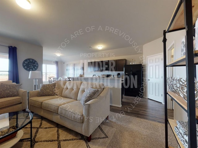 living room featuring wood-type flooring