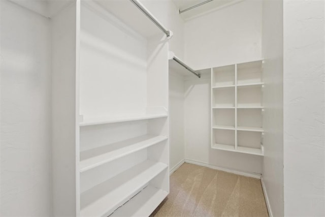 spacious closet featuring carpet flooring