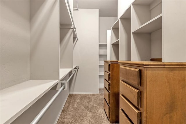 walk in closet featuring light colored carpet