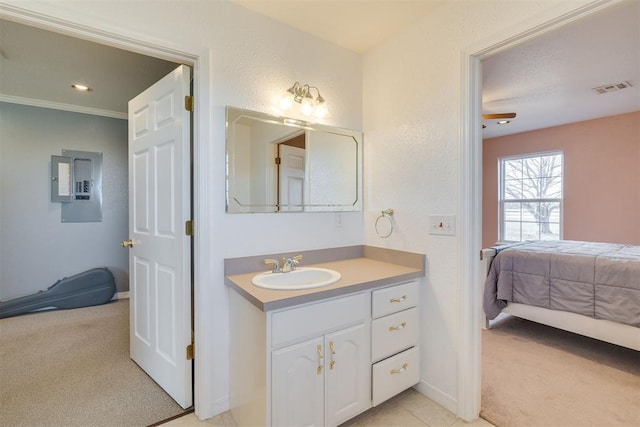 414315 E 1080th Rd, Checotah, OK 74426 - bathroom with connected bathroom, electric panel, and vanity
