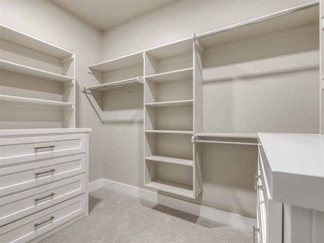 spacious closet with light carpet