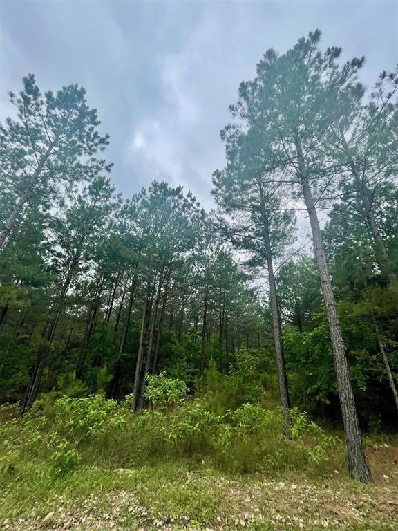 96 Cedar Hills Lks, Broken Bow OK, 74728 land for sale