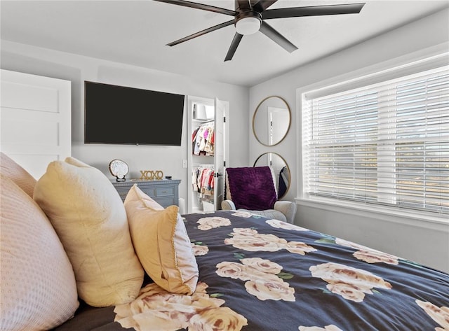 bedroom featuring a ceiling fan, a walk in closet, and a closet