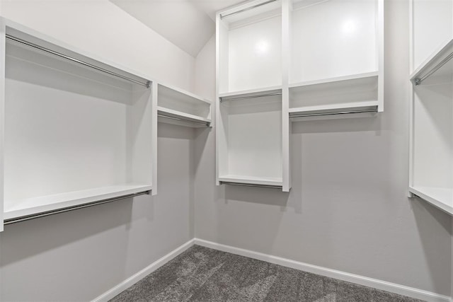 walk in closet with dark carpet