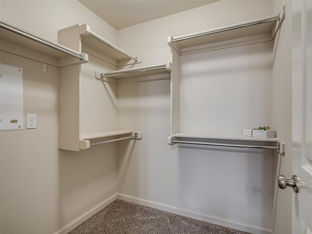 walk in closet featuring carpet floors