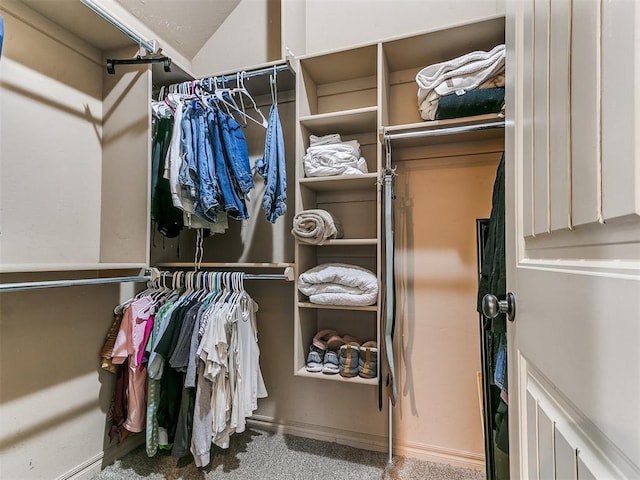 view of spacious closet