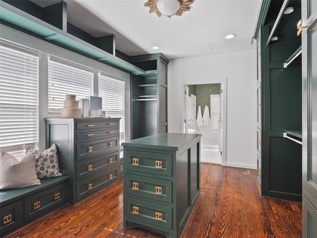 walk in closet featuring a barn door and dark wood-type flooring