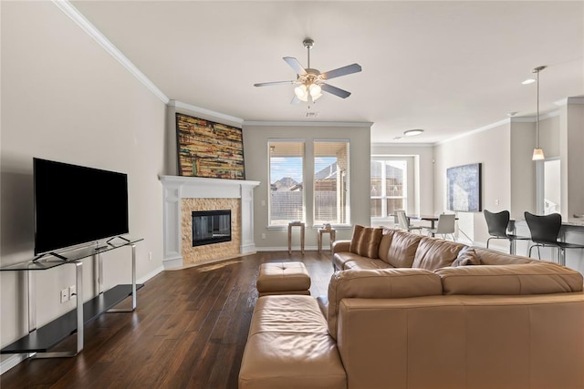 living room featuring ceiling fan, a fireplace, ornamental molding, and dark hardwood / wood-style floors