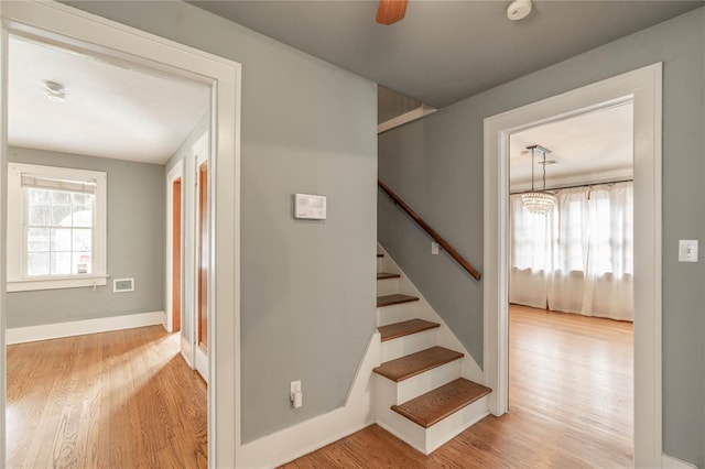 stairway with hardwood / wood-style flooring and ceiling fan