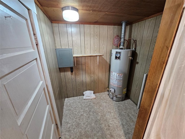 utilities with electric panel and water heater