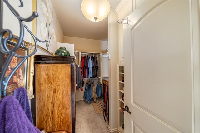 spacious closet with carpet