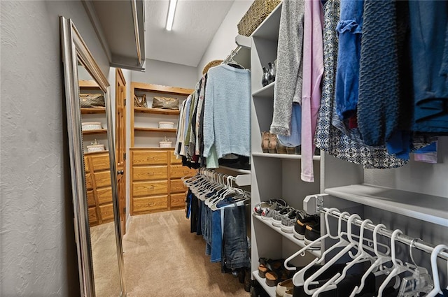 spacious closet with carpet