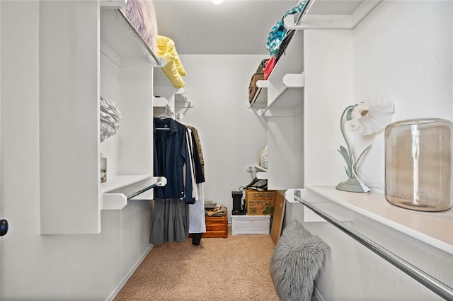 walk in closet with carpet flooring