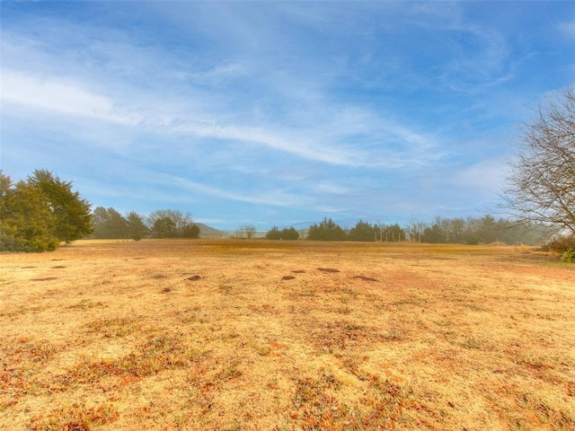 view of nature featuring a rural view