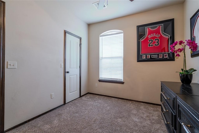 bedroom with carpet flooring