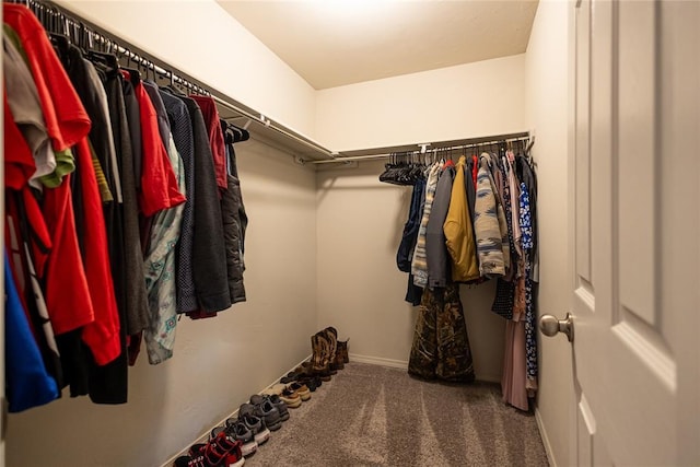 walk in closet with carpet floors