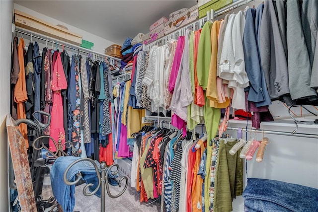 walk in closet featuring carpet