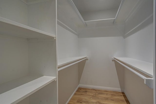 spacious closet with light wood-type flooring