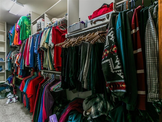 spacious closet featuring carpet flooring