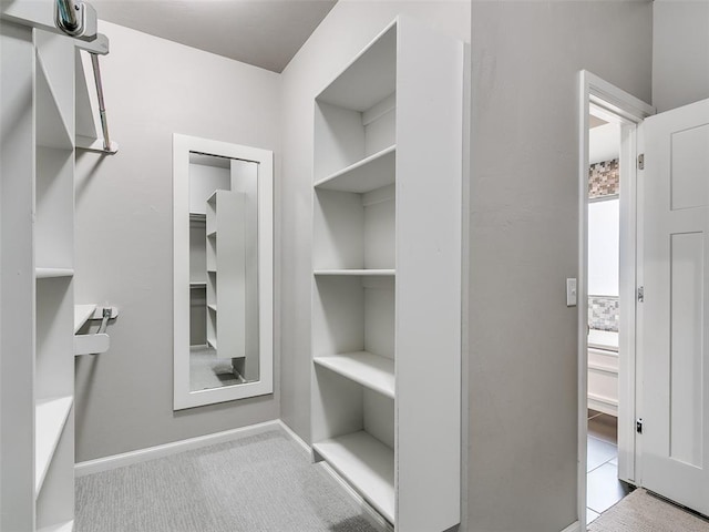 spacious closet featuring light colored carpet