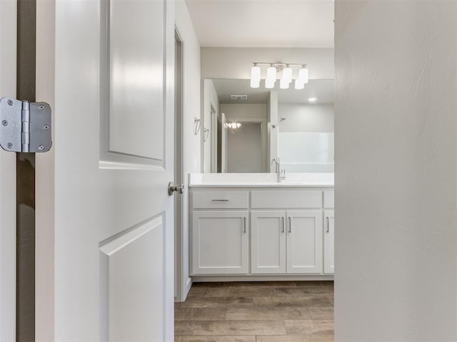 bathroom featuring wood-type flooring and vanity