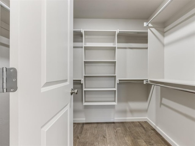 walk in closet featuring wood-type flooring