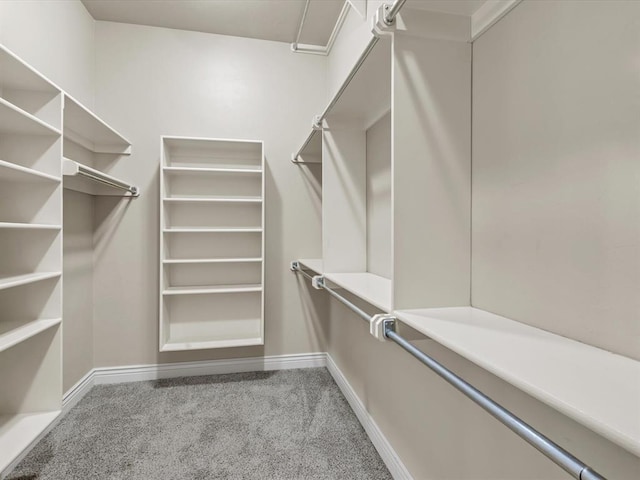 spacious closet featuring carpet flooring