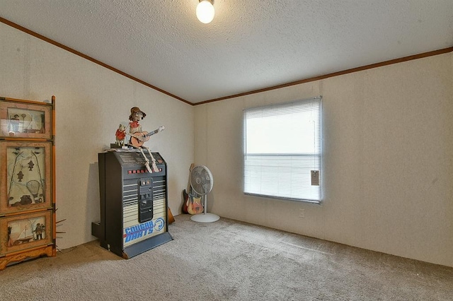 miscellaneous room with vaulted ceiling, ornamental molding, carpet, and a textured ceiling