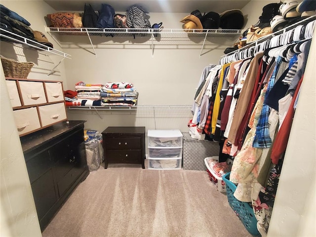 walk in closet featuring carpet floors