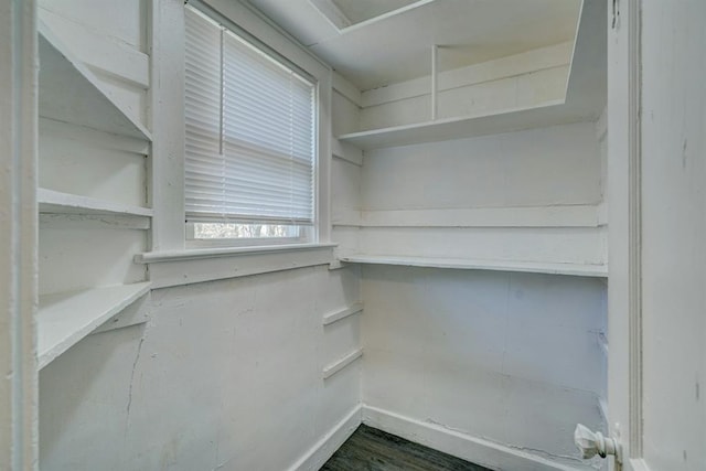 spacious closet featuring dark hardwood / wood-style floors