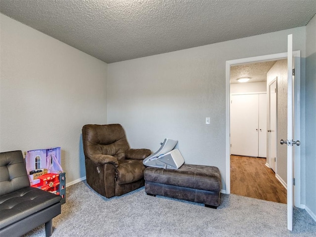 living area with carpet flooring and a textured ceiling