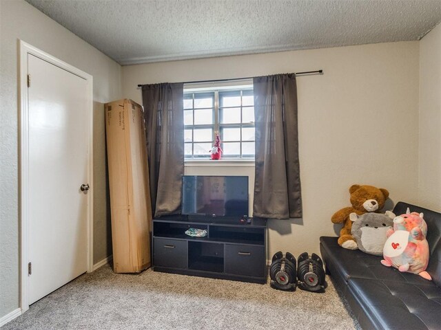 interior space with a textured ceiling and light colored carpet