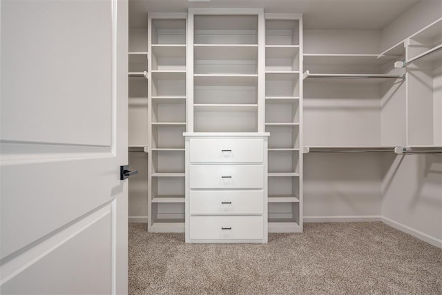 spacious closet with light colored carpet