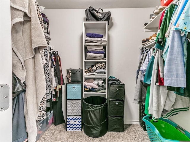 spacious closet featuring carpet floors